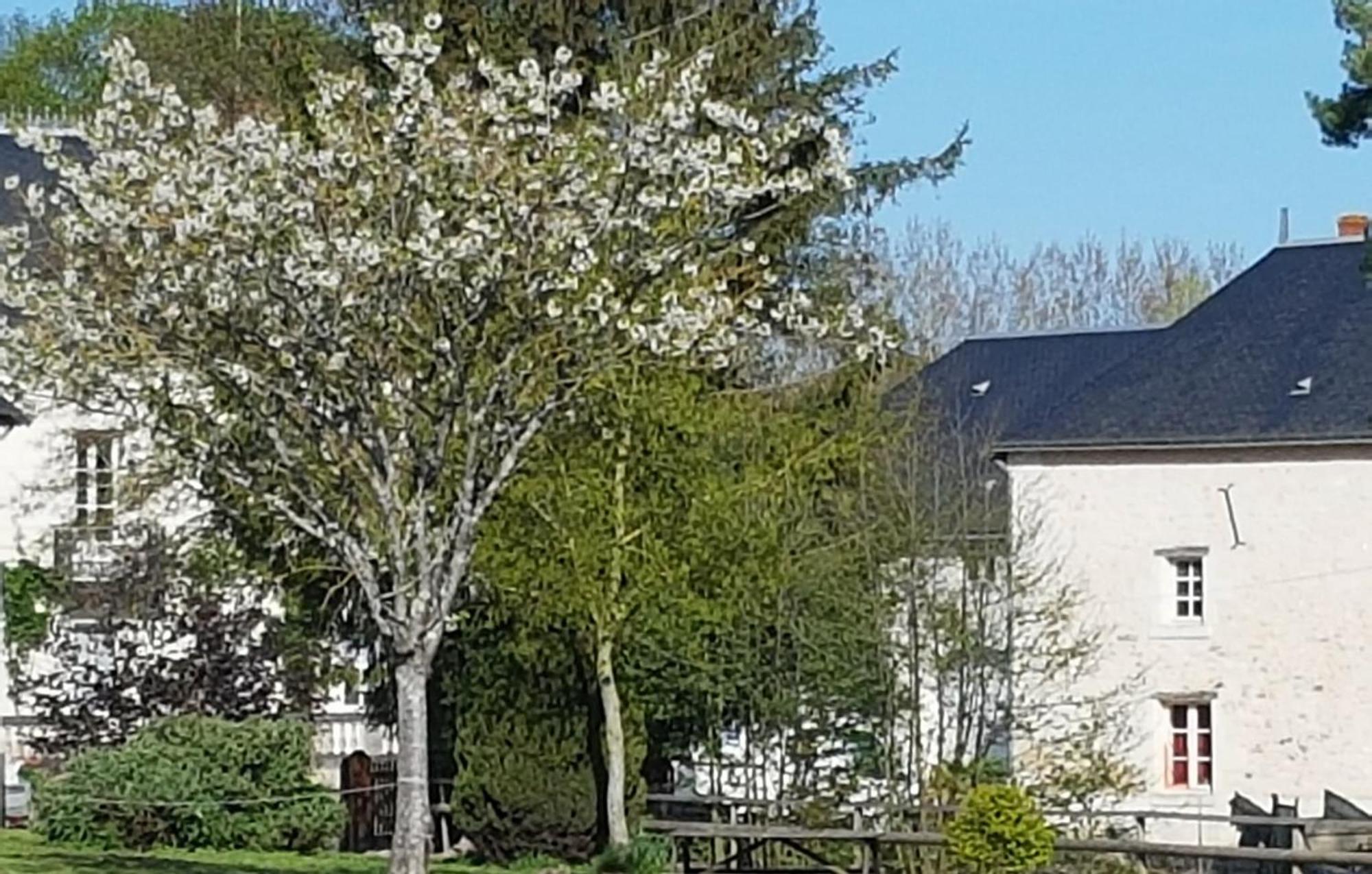 Domaine Du Moulin Neuf Aux Portes De Beauval Nouans-les-Fontaines Εξωτερικό φωτογραφία
