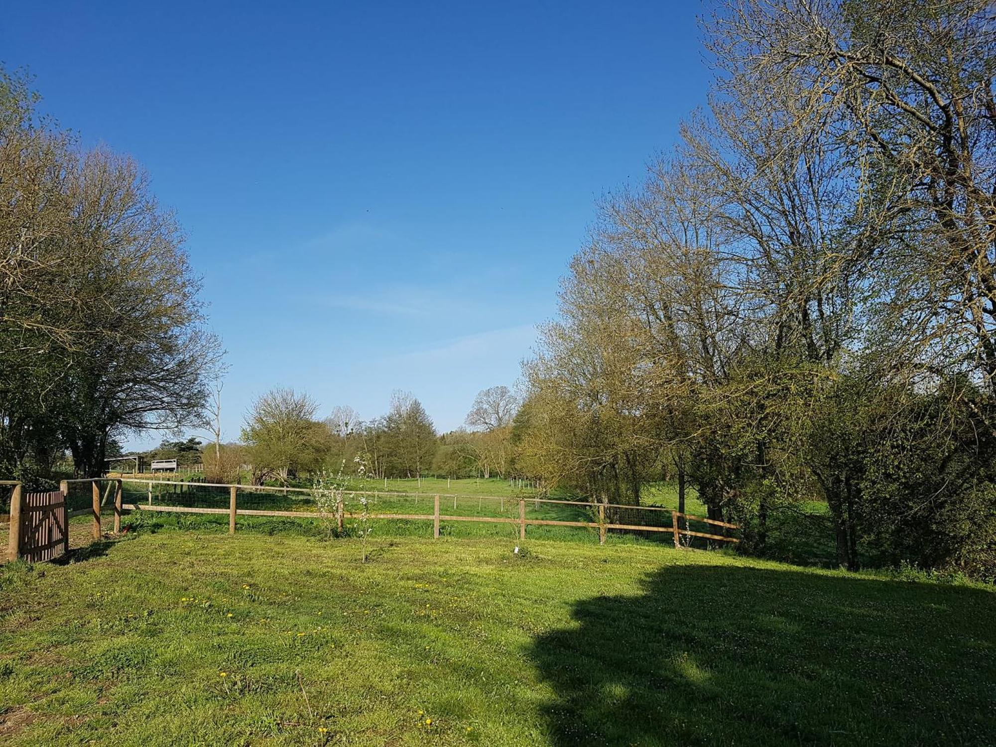 Domaine Du Moulin Neuf Aux Portes De Beauval Nouans-les-Fontaines Εξωτερικό φωτογραφία